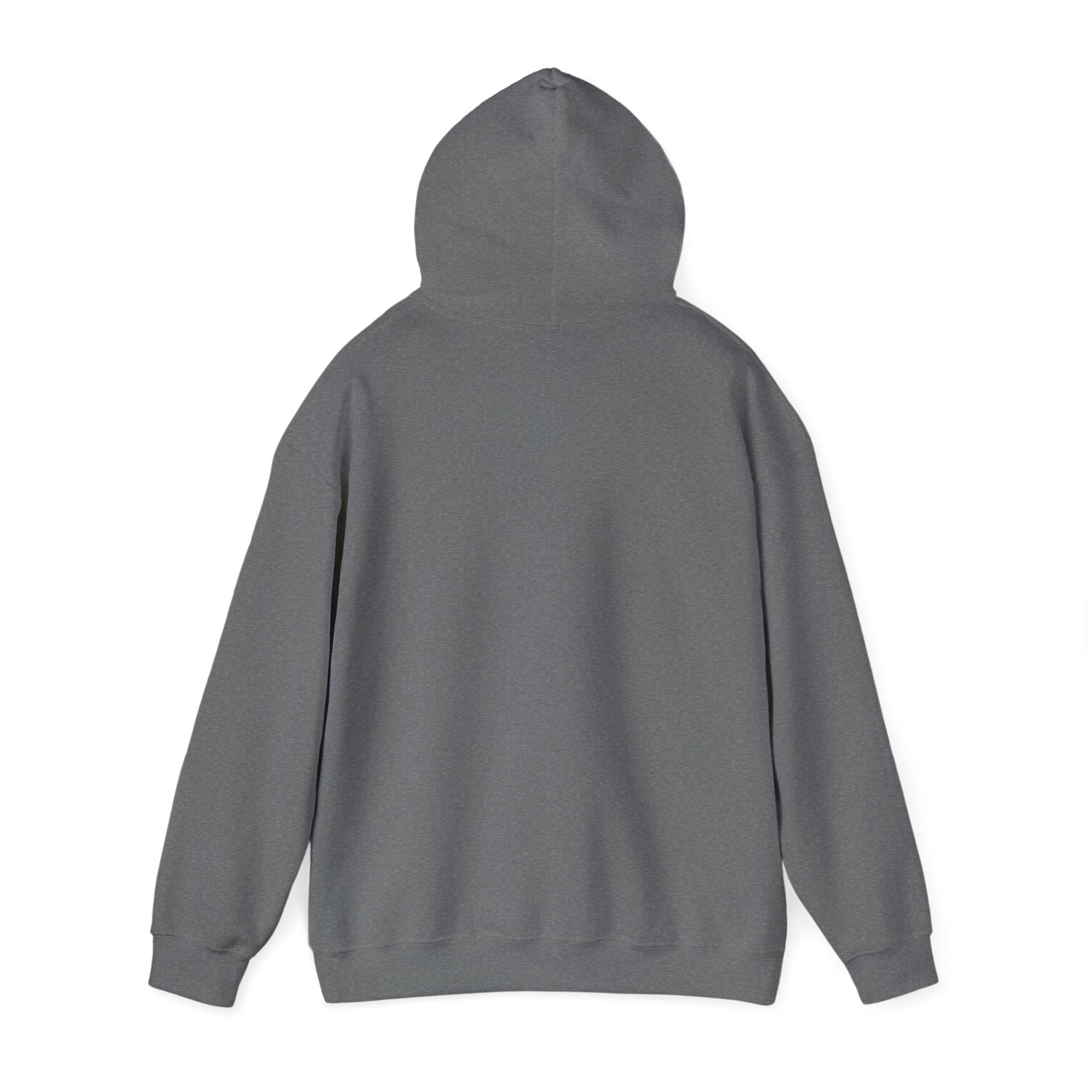 Bitcoin Hoodie